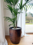 Pflanzkübel /schöne, schlanke Palmenvase / Übertopf