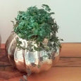 Vase aus Metall gerippt / Übertopf / 2er Set